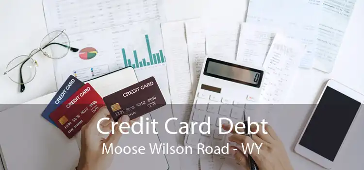 Credit Card Debt Moose Wilson Road - WY