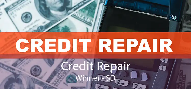 Credit Repair Winner - SD